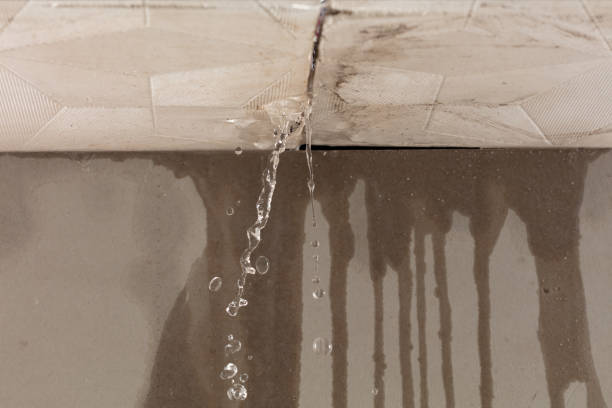 Professional Structural Drying technician working in Merion Station, PA